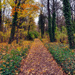 herbstwaldweg